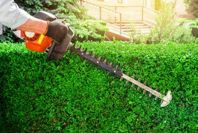 Trim, Cut, and Prune Hedges!