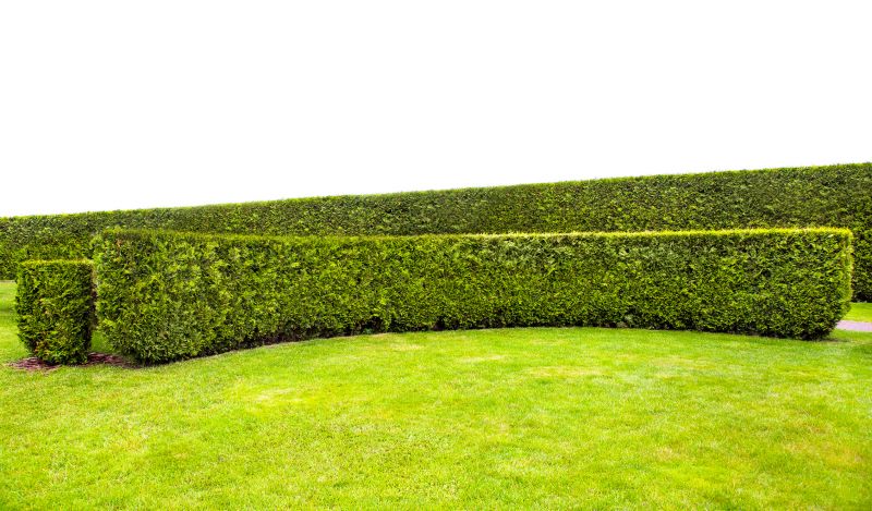 Specialized Hedge Maintenance Companies