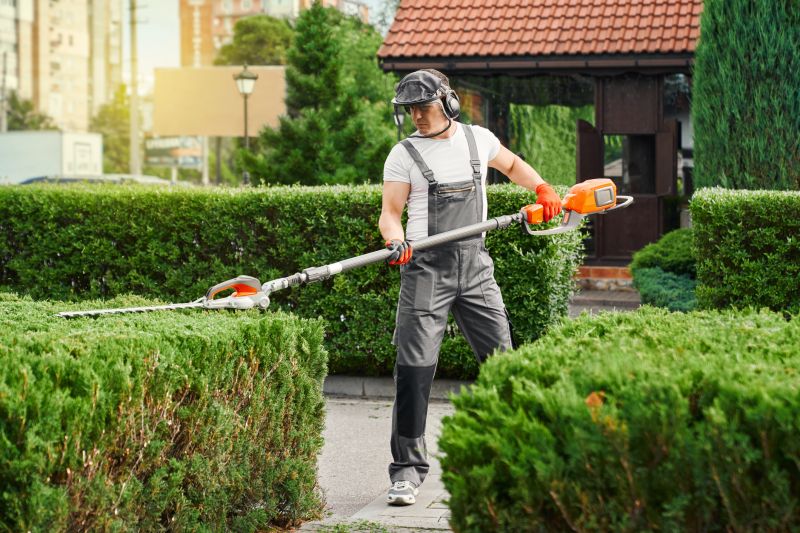Local Hedge Trimming Services pros at work