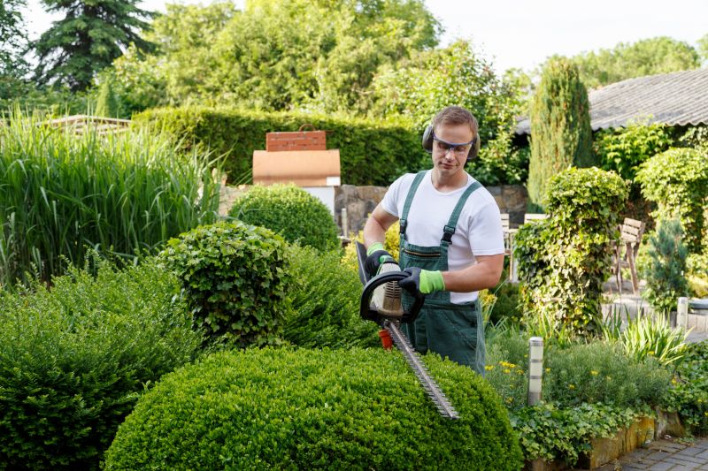 Contact About Hedge Trimming Services