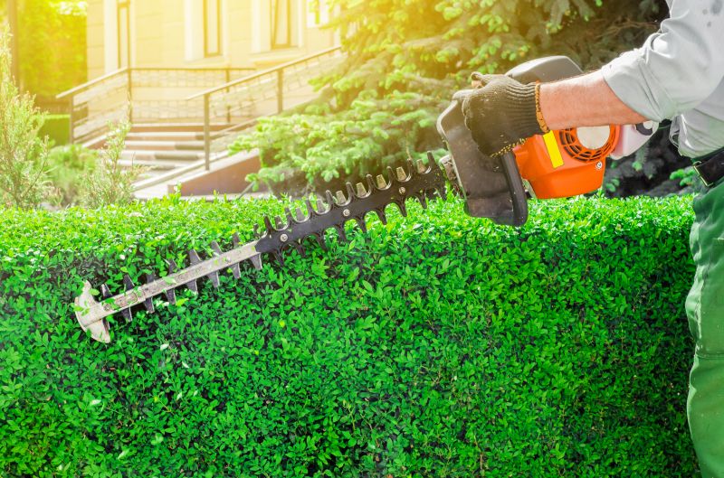 Hedge Trimming Services Overview