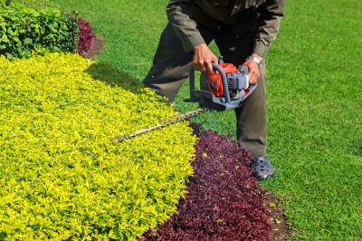 Promote Healthy Growth of the Hedges with Hedge Trimming Service!